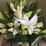 Simple White Oriental Lilies